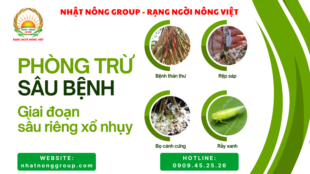 Phòng trừ sâu bệnh hại giai đoạn sầu riêng xổ nhụy