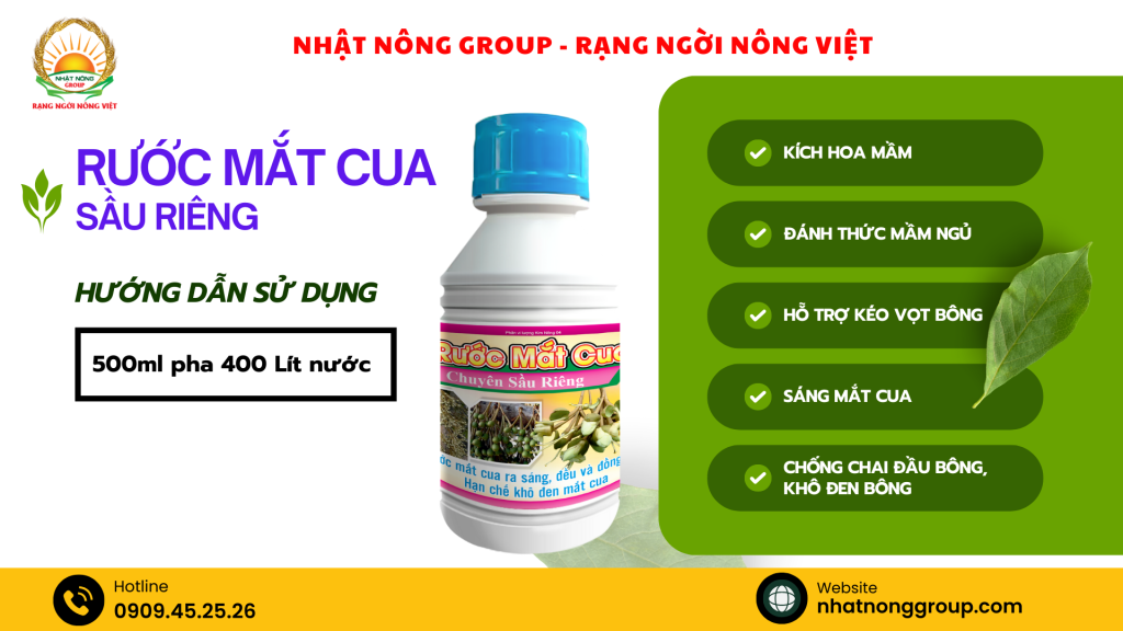 Rước mắt cua sầu riêng