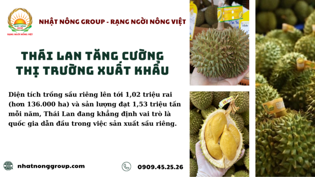Diện tích trồng sầu riêng Thái Lan