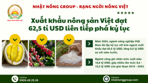 Xuất khẩu nông sản Việt đạt 62,5 tỉ USD liên tiếp phá kỷ lục