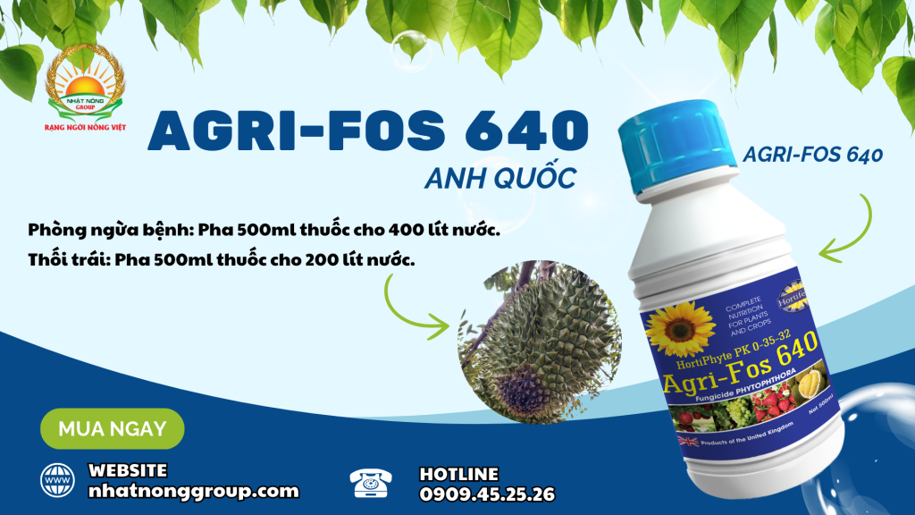 AGRIFOS 640 ANH QUỐC – Giải pháp chuyên biệt trị Phytophthora