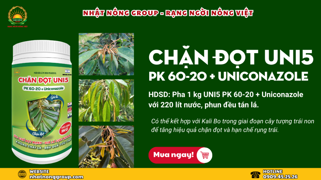 Chặn đọt UNI5 PK 60-20 + Uniconazole