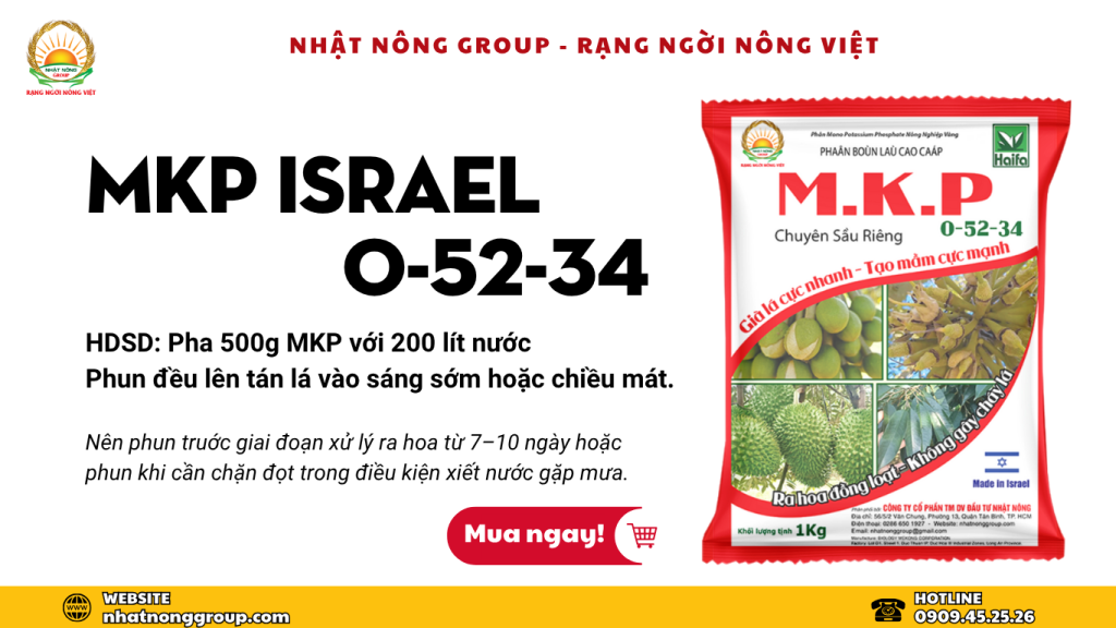 Chặn đọt sầu riêng MKP Israel