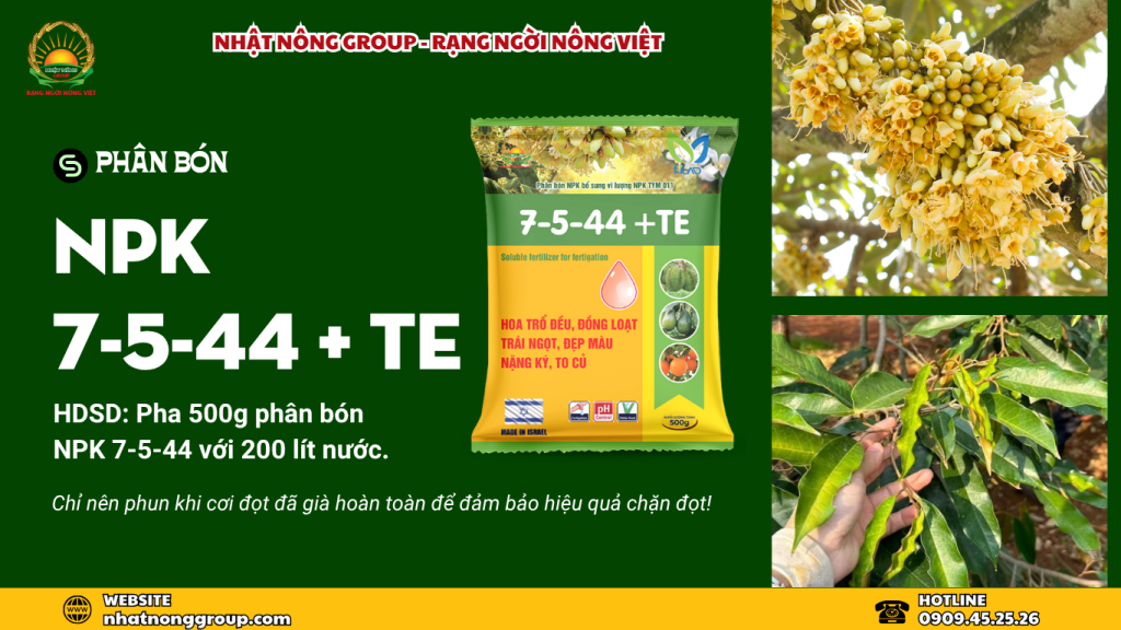Cách chặn đọt hiệu quả với NPK 7-5-44