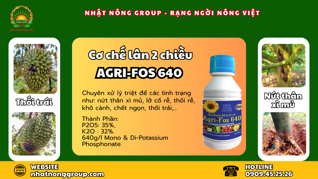 Cơ chế lân 2 chiều Agri-fos 640 tuyệt chiêu phòng ngừa thối trái sầu riêng