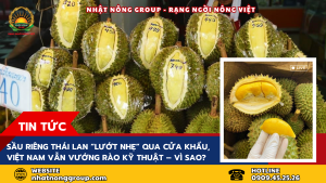 Sầu riêng Thái Lan “lướt nhẹ” qua cửa khẩu