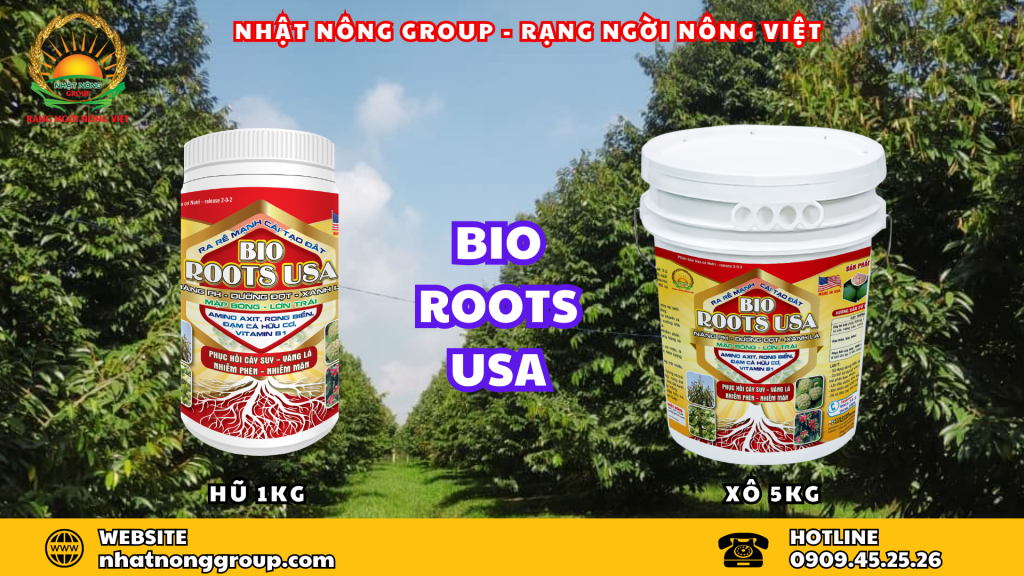 Top 3 thuốc kích rễ hiệu quả nhất hiện nay: BIO ROOTS USA