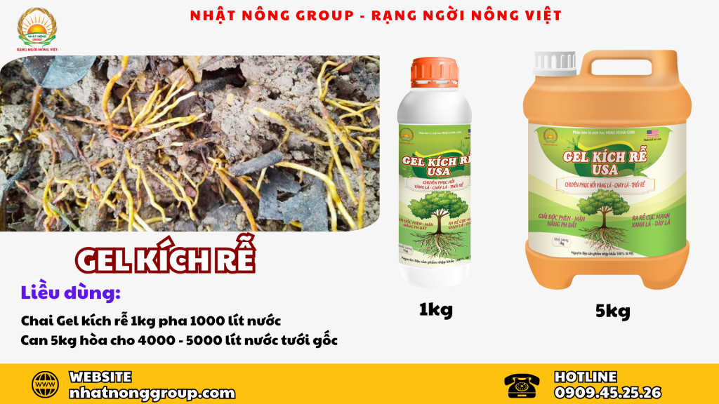 Top 4 thuốc kích rễ tốt nhất: Thuốc kích rễ GEL kích rễ