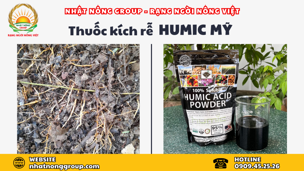 Humic Mỹ - Diamond Grow Humi[K] Powder