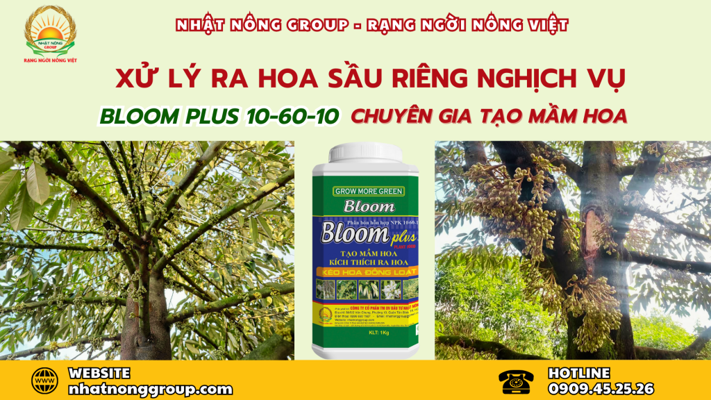 Bloom plus 10-60-10 chuyên gia tạo mầm hoa