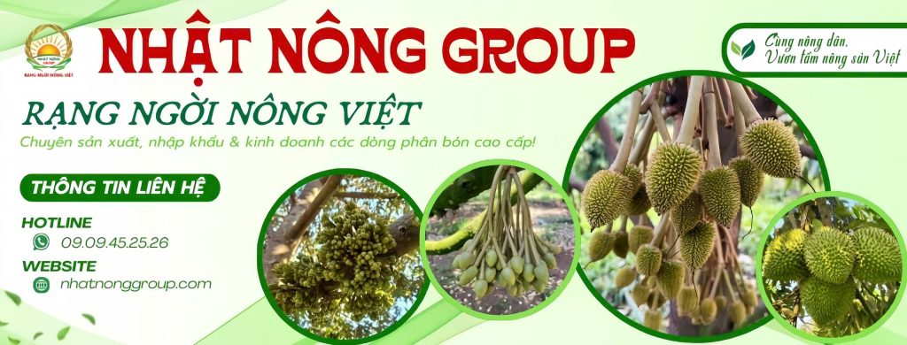 banner Nhật Nông