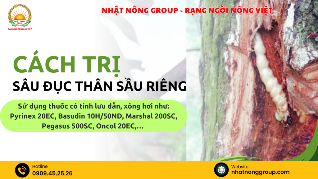 Cách trị sâu đục thân