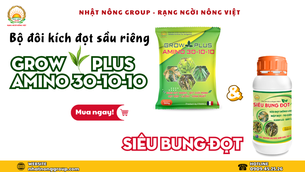 Bộ đôi chuyên kích đọt sầu riêng
