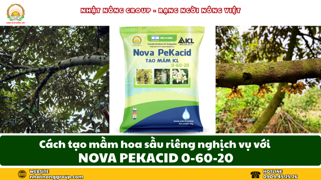 làm bông sầu riêng nghịch vụ