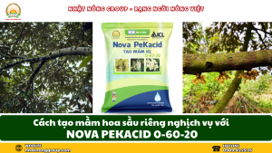 làm bông sầu riêng nghịch vụ