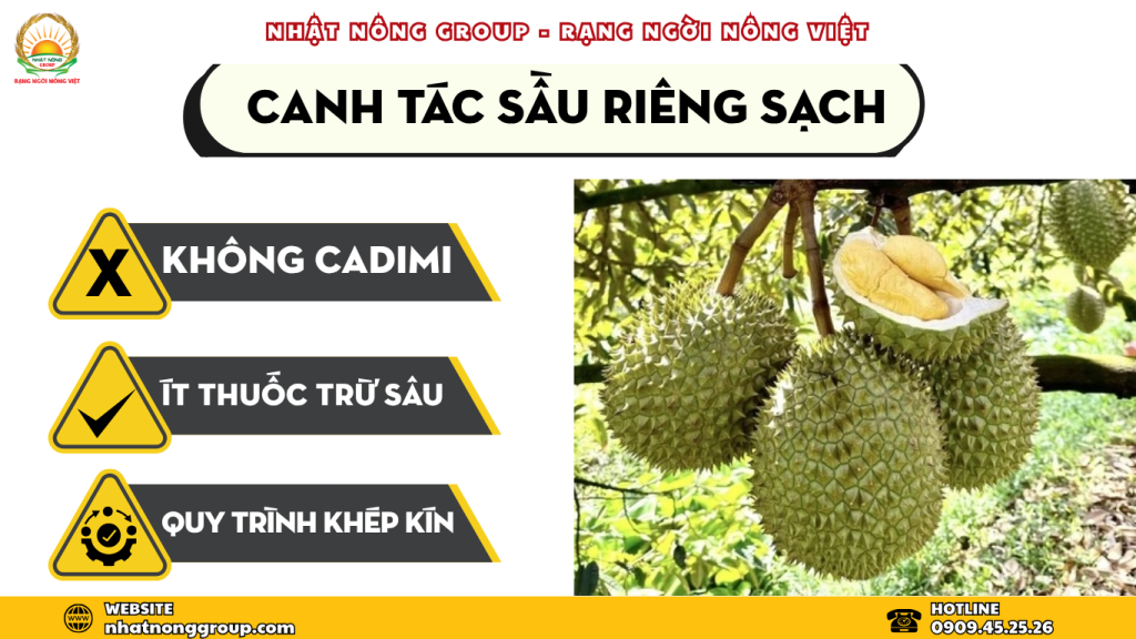 canh tác sầu riêng sạch