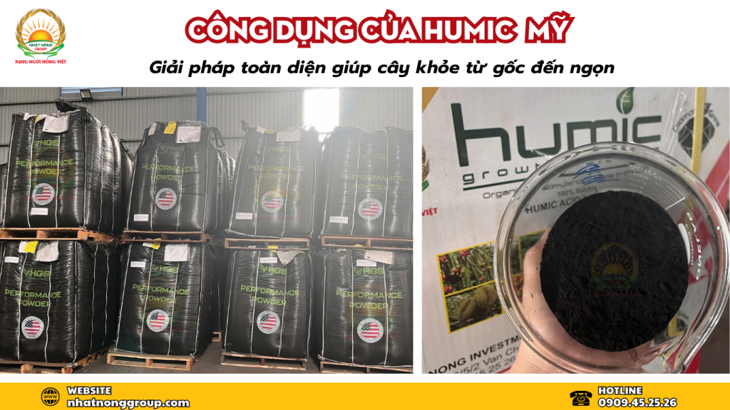 Công dụng của Humic Mỹ