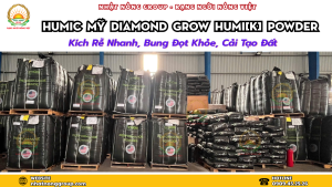 Cách sử dụng Humic Mỹ
