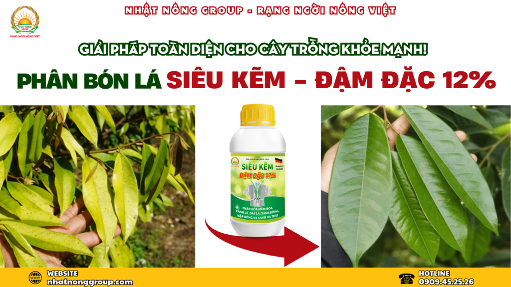 Siêu kẽm đậm đặc 12%