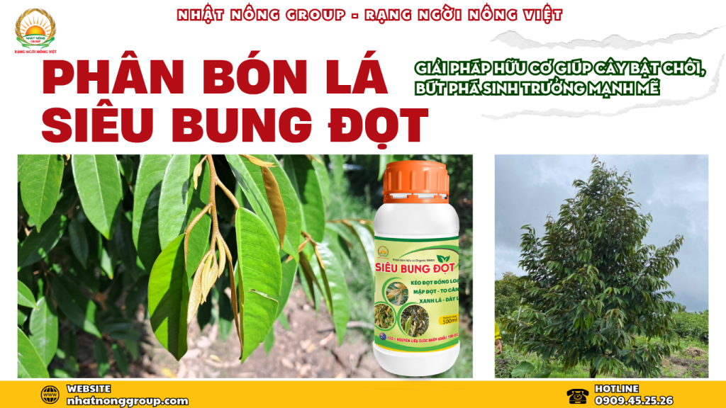 Phân bón Siêu Bung Đọt