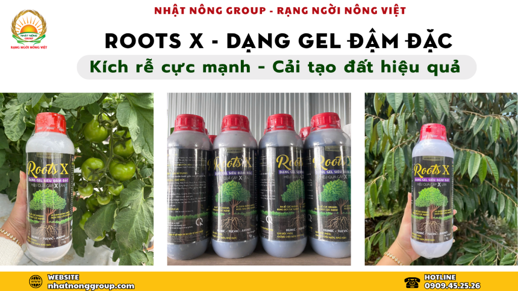 Roots X - Dạng gel đậm đặc gấp X lần