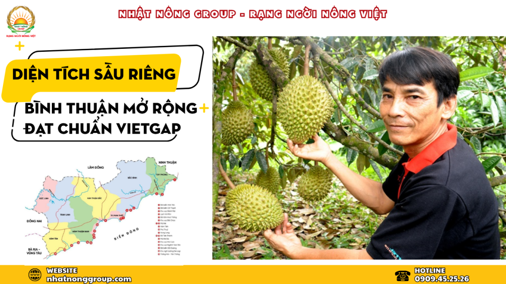 Diện tích trồng sầu riêng ở Bình Thuận