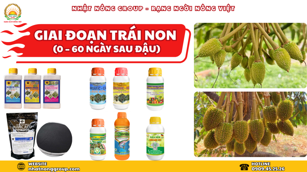 Bón phân nuôi trái sầu riêng giai đoạn 0-60 ngày