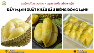 Sầu riêng xuất khẩu sang Trung Quốc phục hồi mạnh