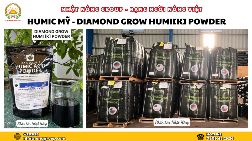 Humic Mỹ - chuyên kích rễ sầu riêng