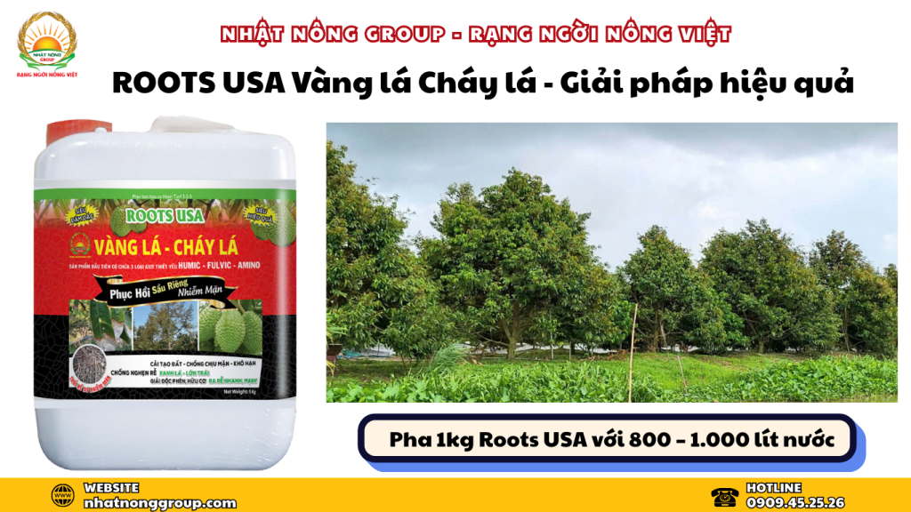 ROOTS USA Vàng lá Cháy lá