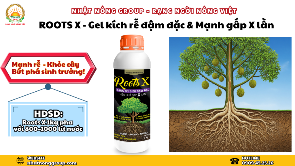 ROOTS X - Gel Kích Rễ Đậm Đặc, Mạnh Gấp X Lần