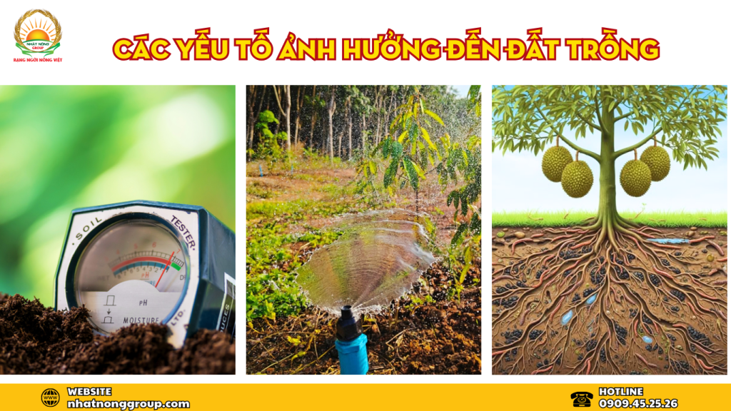Các yếu tố ảnh hưởng đến đất trồng