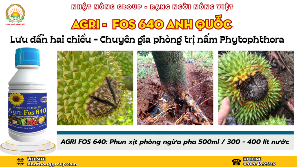 Agri-fos 640 Anh Quốc - chuyên gia phòng trị nấm Phytophthora