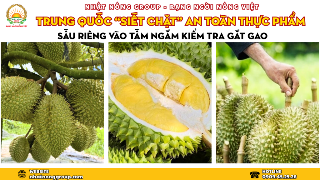 Sầu riêng Việt Nam