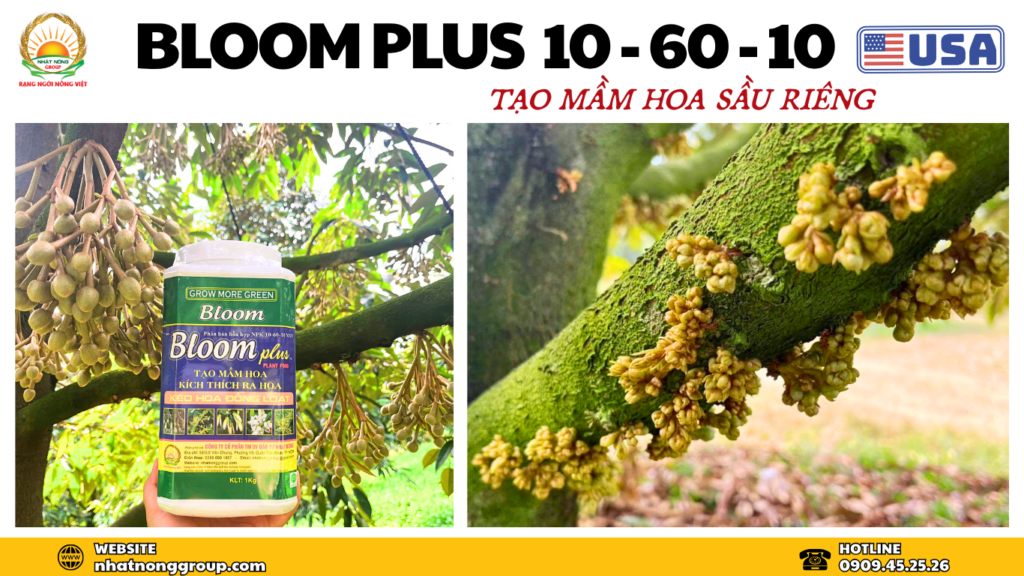 Bloom plus 10-60-10