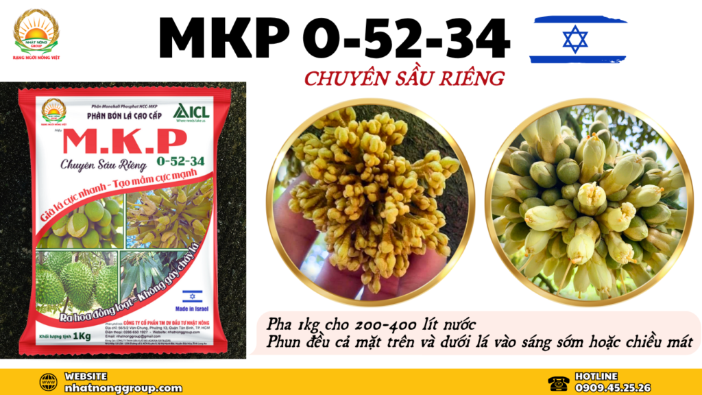 MKP Israel 0-52-34