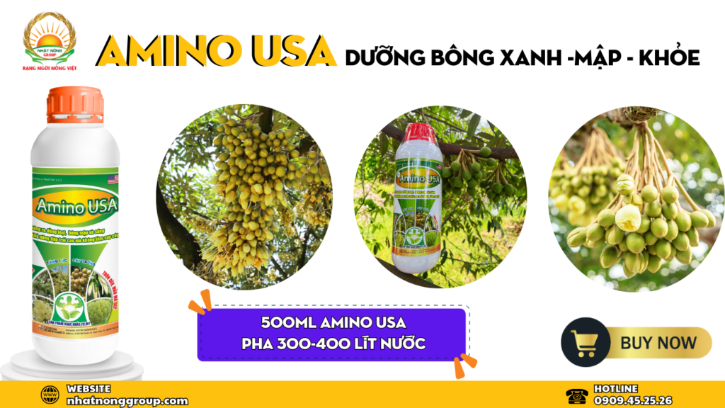 Amino USA dưỡng bông sầu riêng