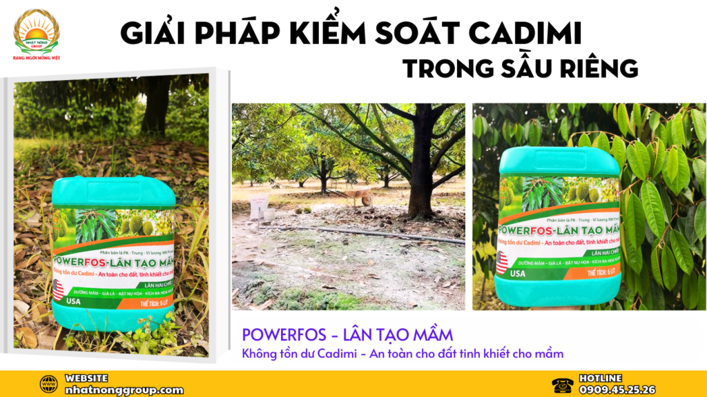 Powerfos Lân tạo mầm không tồn dư Cadimi