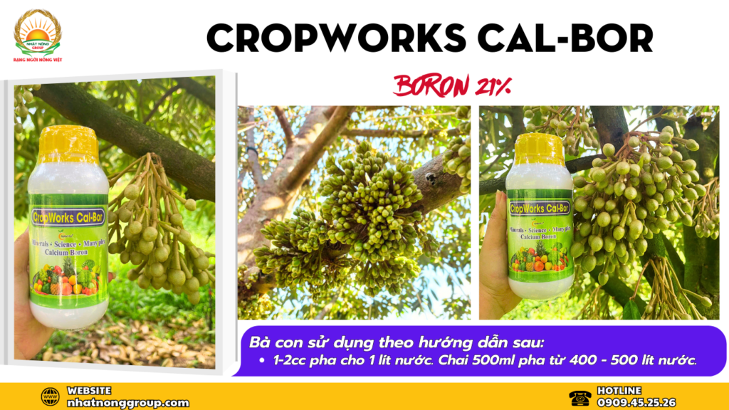 Canxi Bo [Cropworks Cal-Bor]