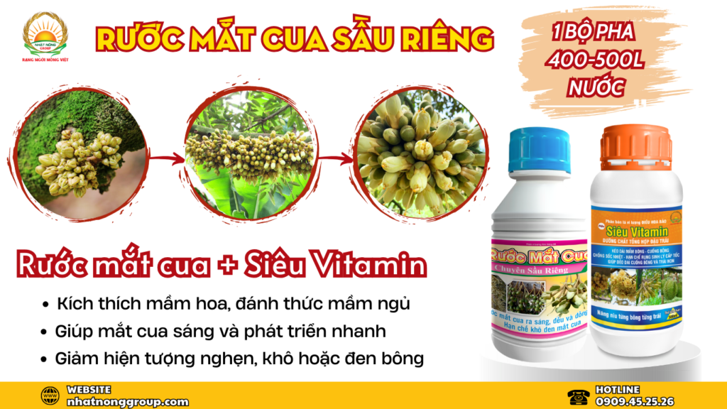 Rước bông sầu riêng