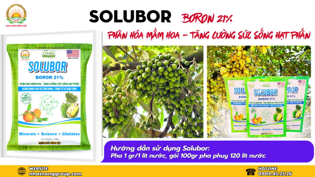 Solubor Mỹ 