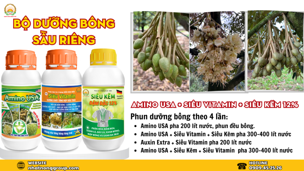 Phun dưỡng bông sầu riêng