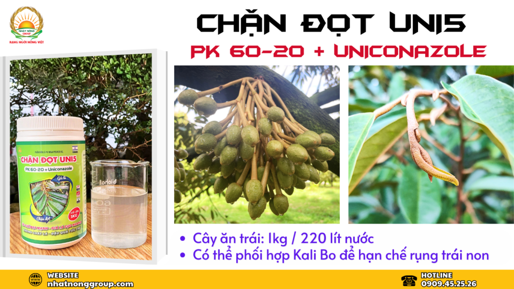 Chặn đọt UNI5 PK 60-20 + Uniconazole
