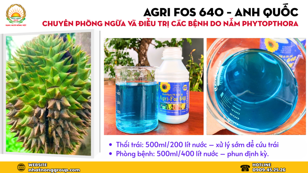 Agri fos 640 Anh Quốc chuyên phòng ngừa và điều trị các bệnh do nấm Phytopthora