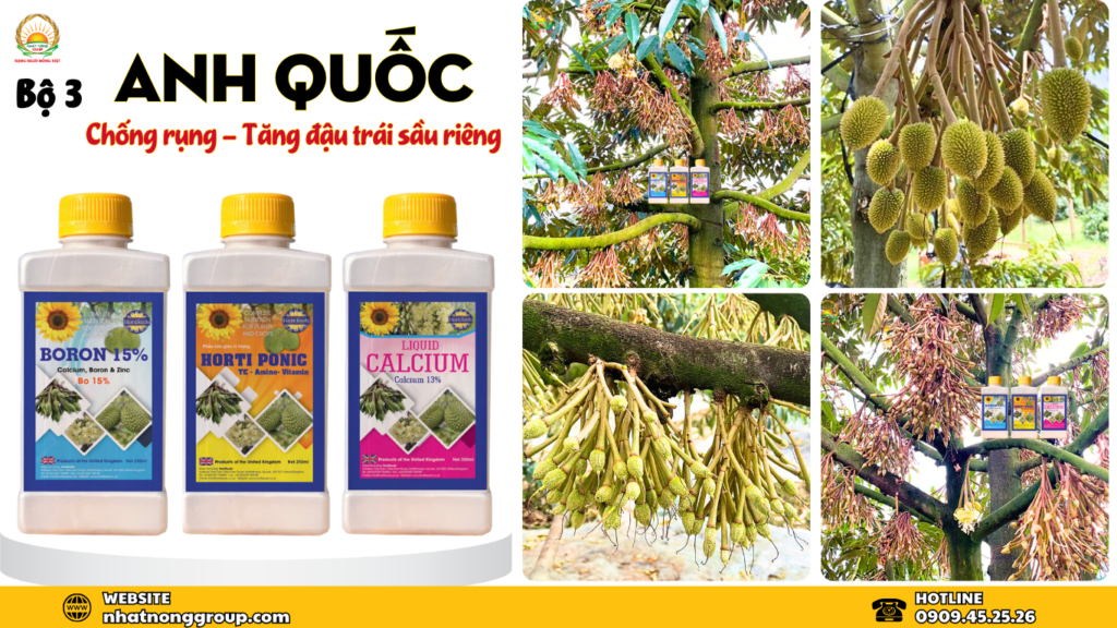 Bộ 3 đậu trái sầu riêng Anh Quốc 250ml